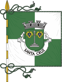 Estandarte para cerimónias e cortejos (1x1) Image