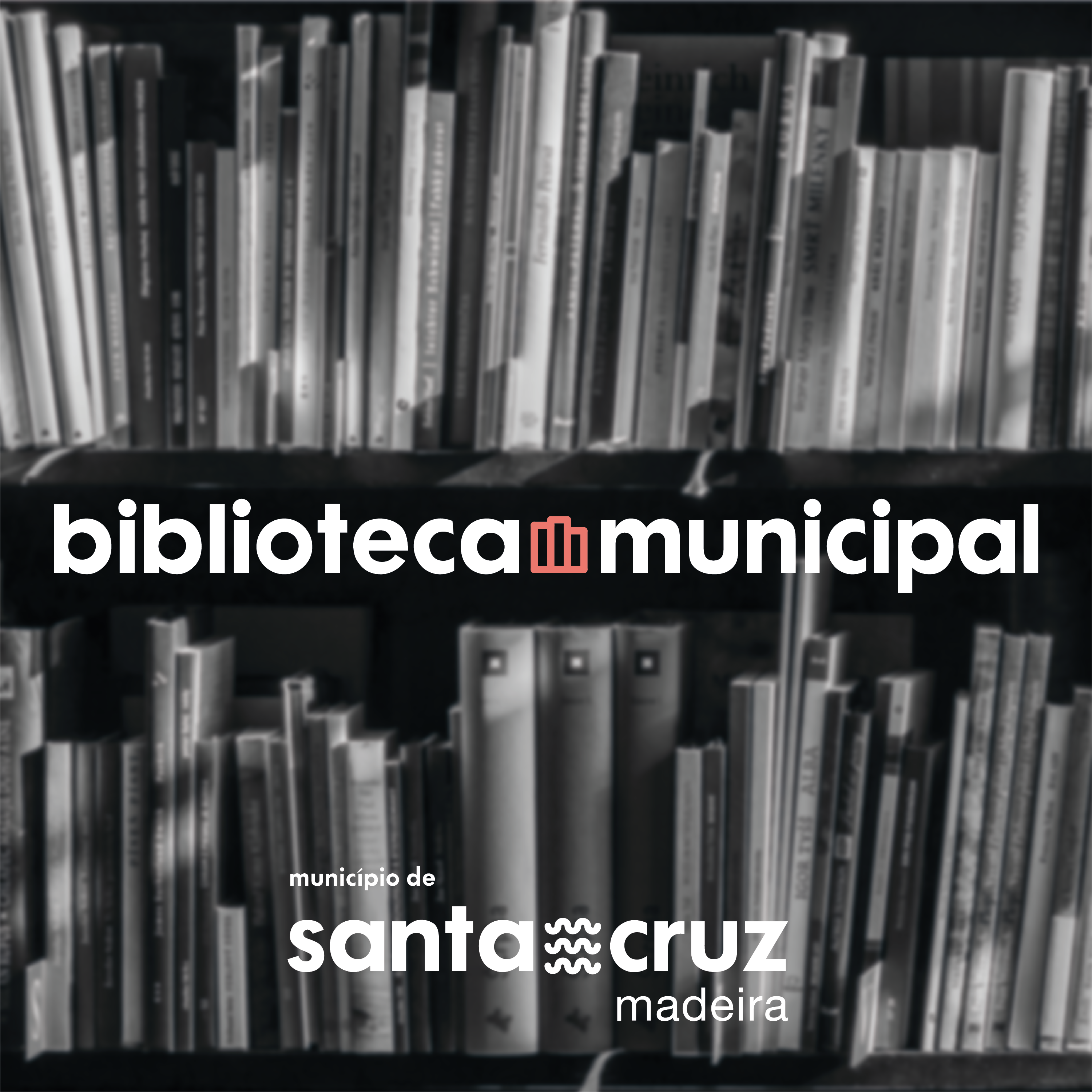 Logo Biblioteca Santa Cruz